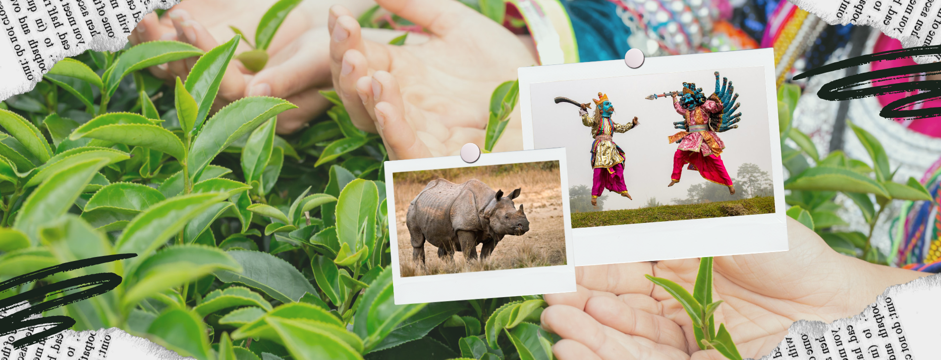 Assam Wildlife Safaris & Cultural Tours
